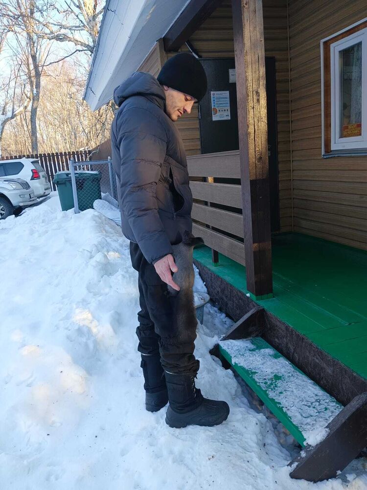 ���������� �������, ���� ������� ����, 35 ���, ������������ ��� ������, ����� � ���������