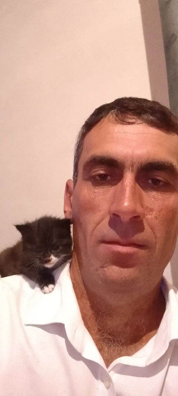 ���� 46040738 ������� ����, 47 ���, ���� ���������� � ������