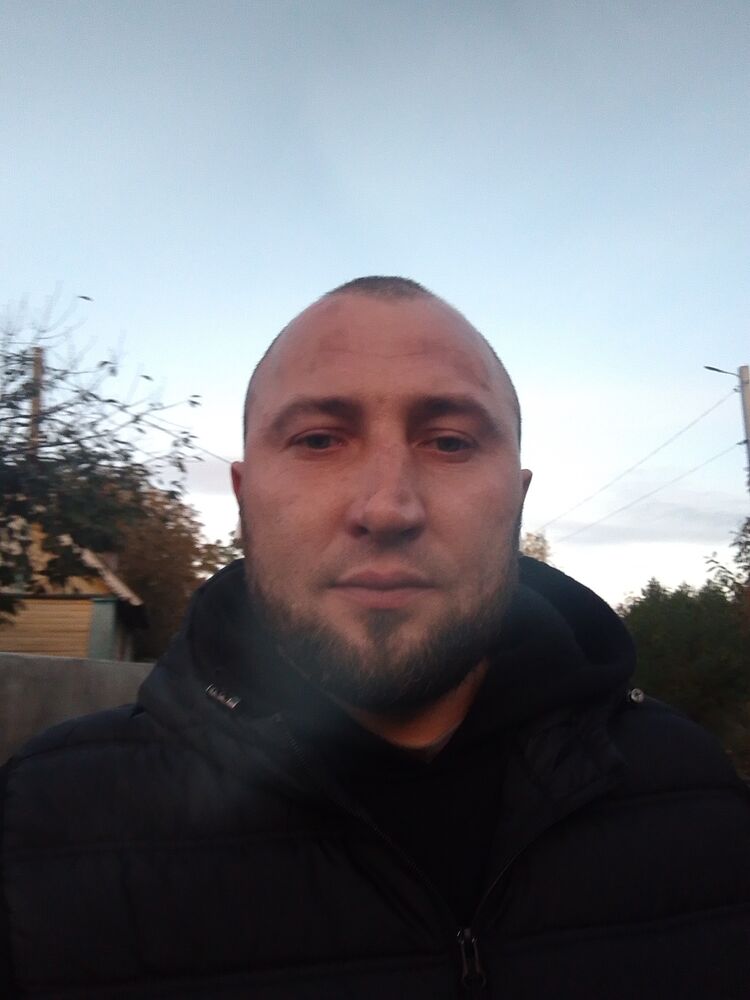 ���� 56219458 ������� ����, 33 ����, ���� ���������� � �����