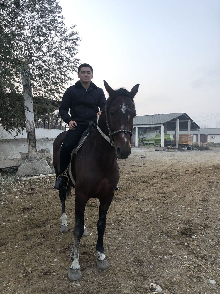 ���� 24939928 ����� ���, 24 ����, ���� ���������� � ��������