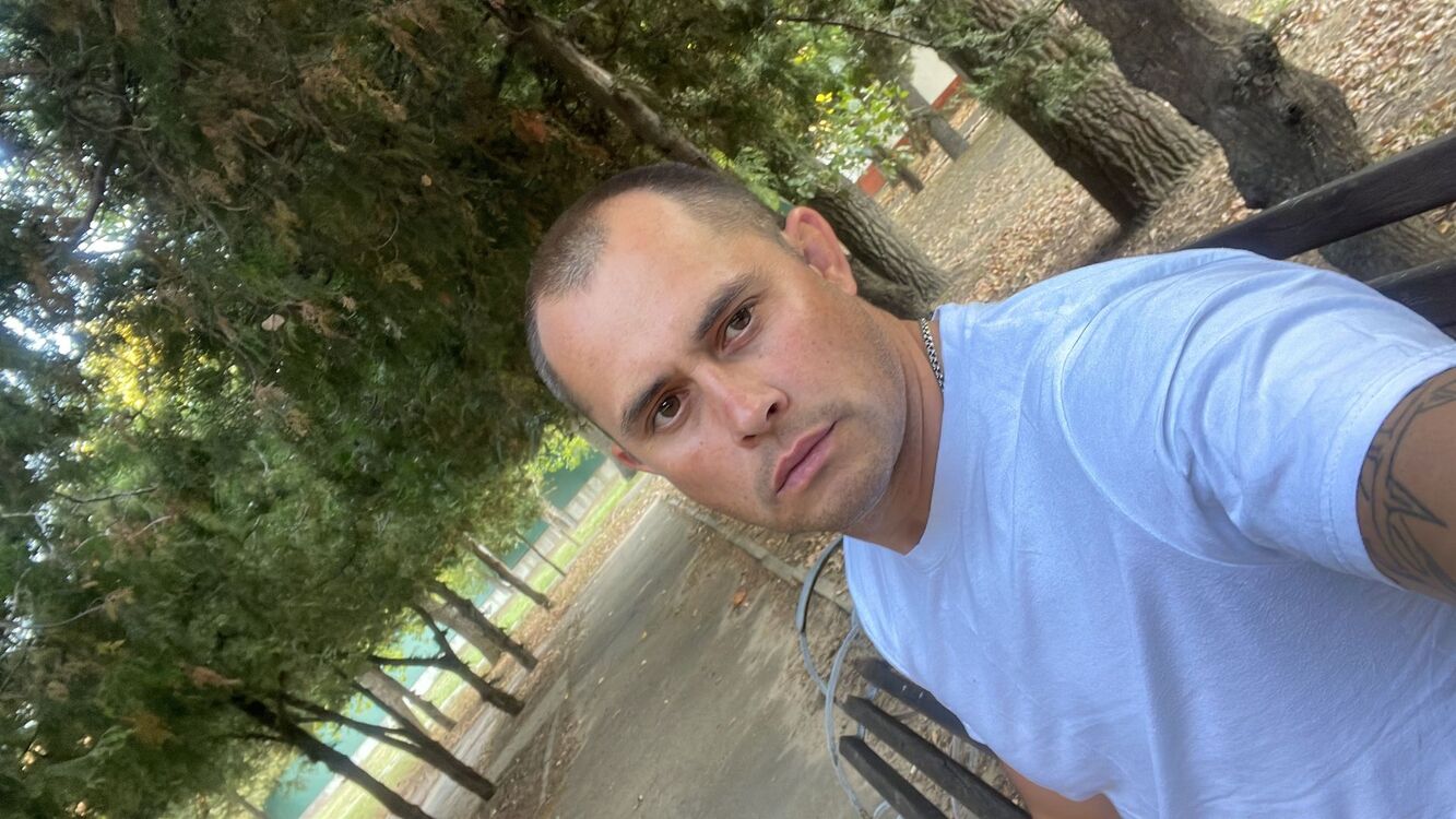  39426478  , 38 ,    