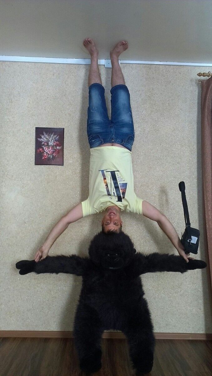 ���� 6428078 ������� ������, 45 ���, ���� ���������� � �����-����������