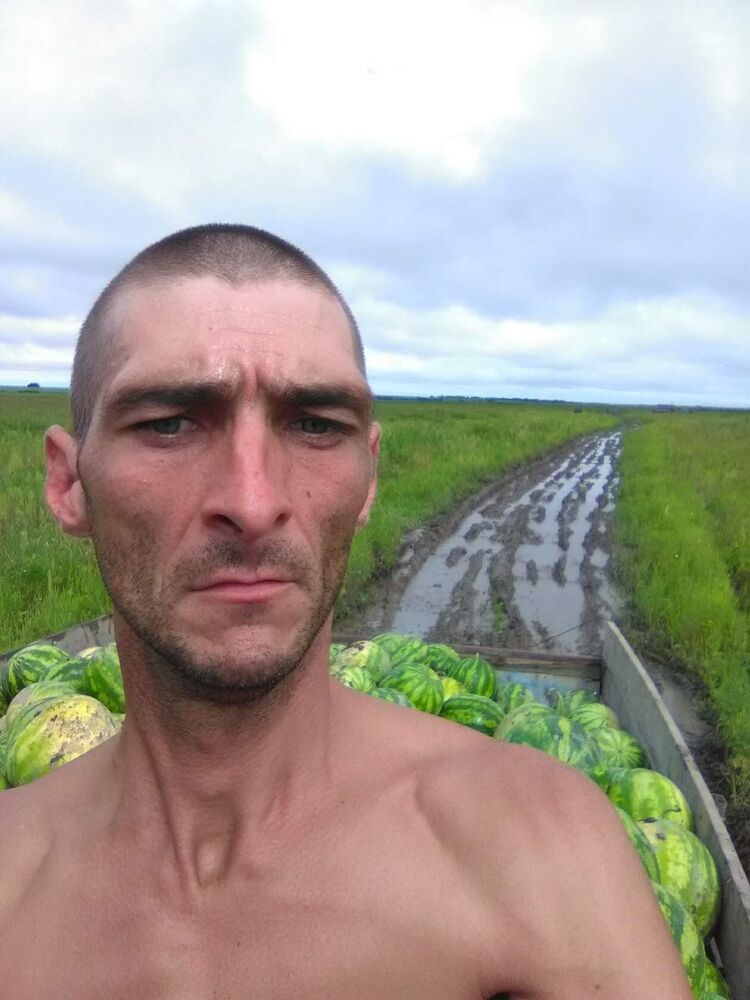 ���� 31023548 ������� ����, 40 ���, ���� ���������� � ������������