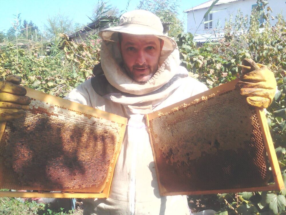 ���� 22415638 ������� �������, 53 ����, ���� ���������� � ������