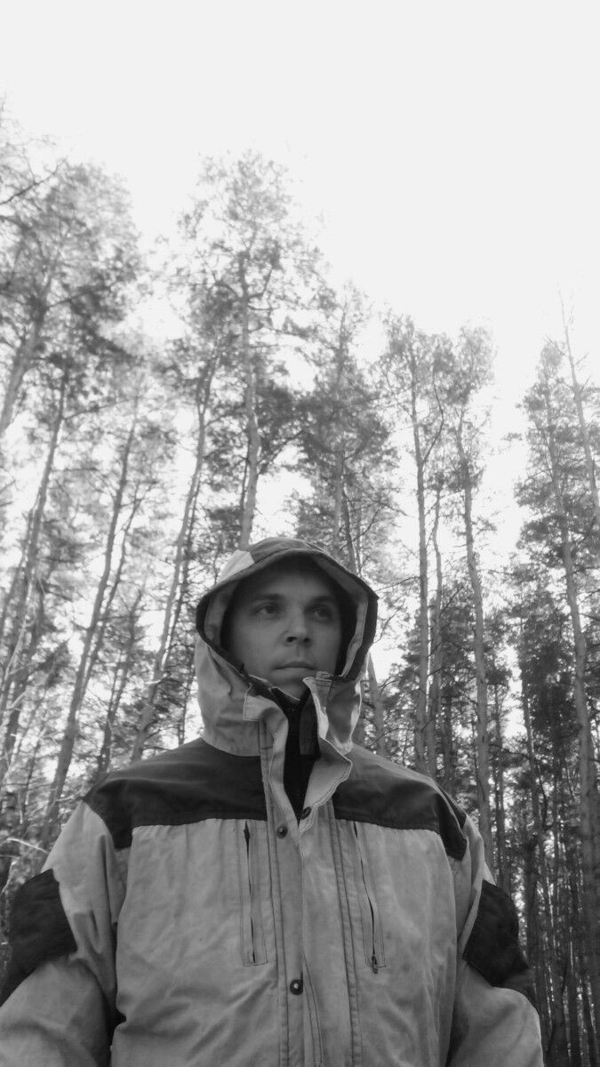 ���� 10448178 ������� �������, 38 ���, ���� ���������� � ���������