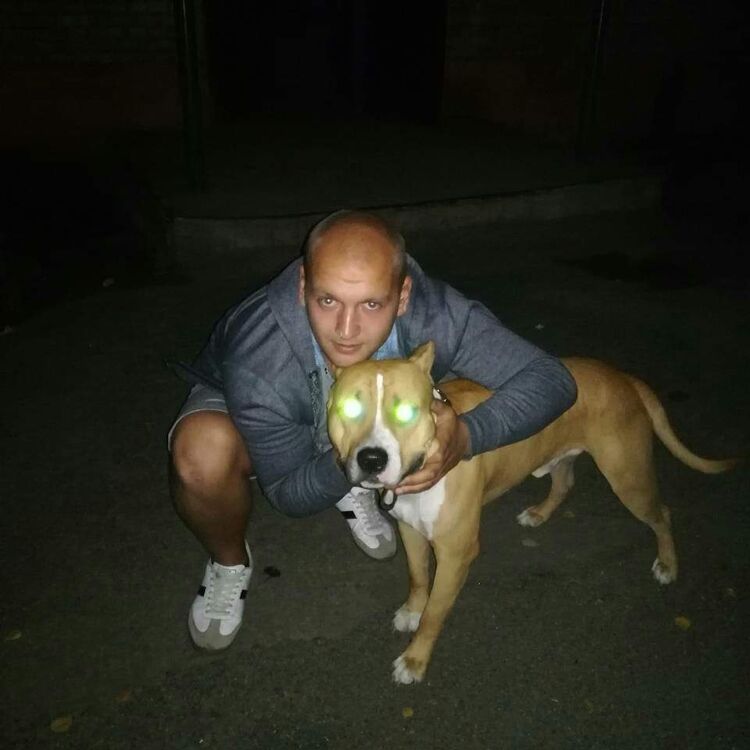  ,   , 31 ,     , c , 