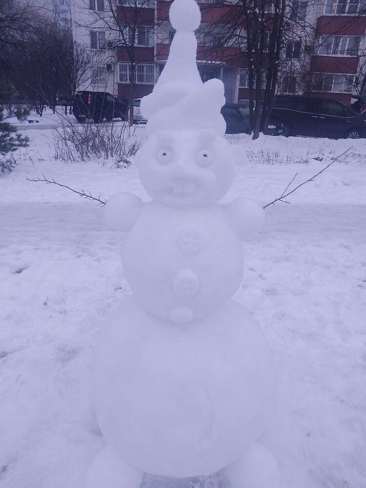 ���� 55991108 ������� ����, 41 ���, ���� ���������� � ����������