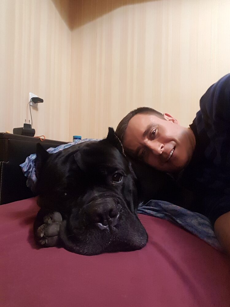 ���������� �������, ���� ������� ����, 43 ����, ������������ ��� ������, ����� � ���������, c�������� ���������, ���������