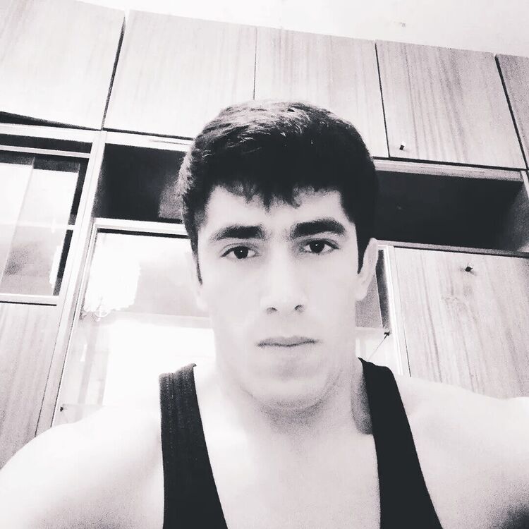  51958028  , 31 ,    