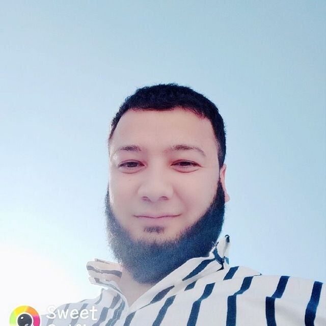  ,   Sh, 31 ,   ,   