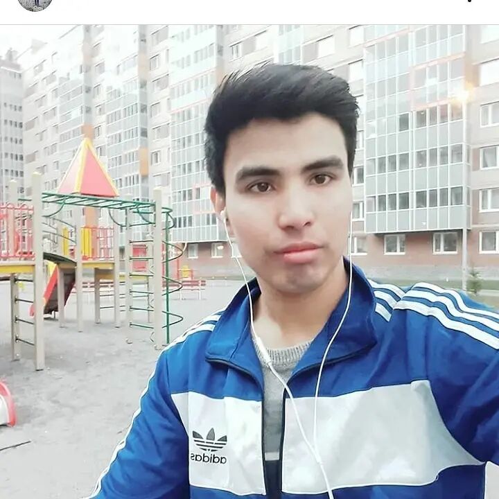  29038878  , 29 ,    -