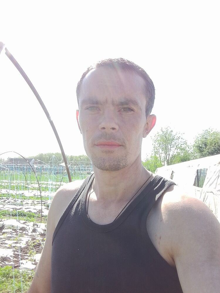  51458308  , 31 ,    
