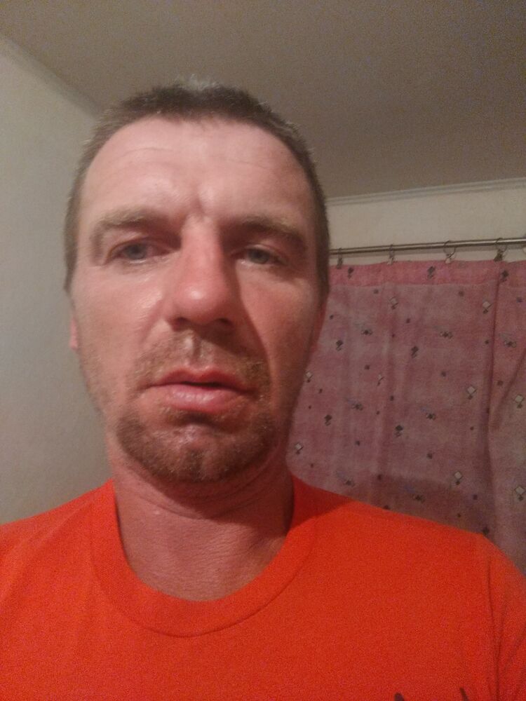  43832548  , 37 ,    