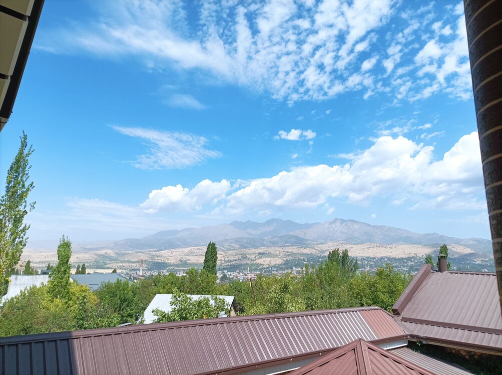 ���������� �������, ���� ������� Ali, 35 ���, ������������ ��� ������, ����� � ���������, c�������� ���������