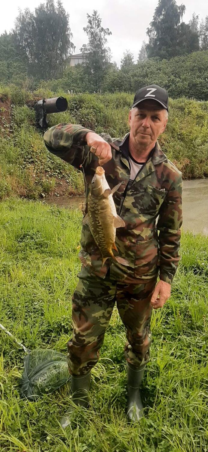 ���������� ���������, ���� ������� ������, 65 ���, ������������ ��� ������, ����� � ���������