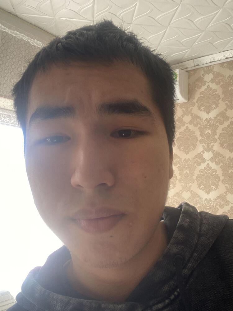  54643038  Honest, 19 ,    