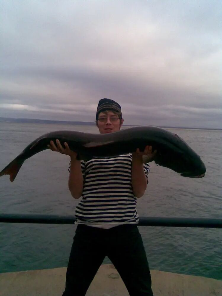 ���������� ������, ���� ������� ���������, 39 ���, ������������ ��� ������, ����� � ���������, c�������� ���������, ���������