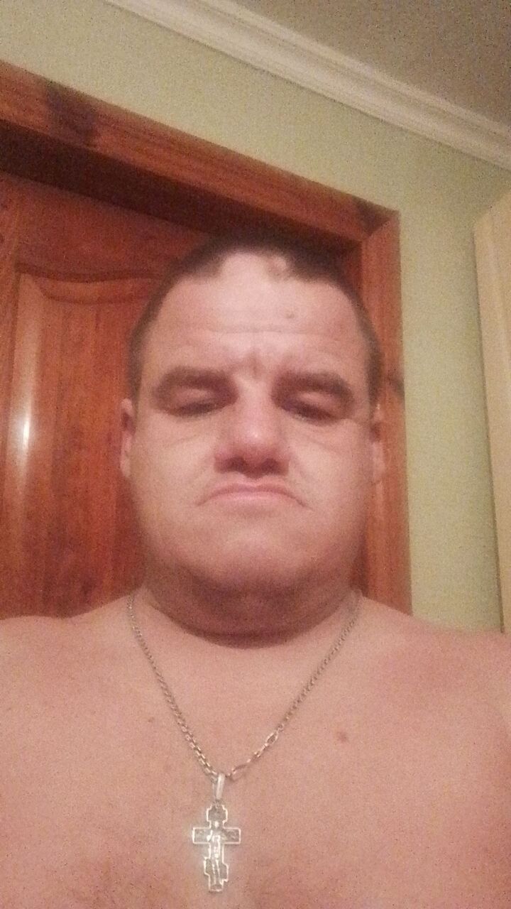 53764338  , 40 ,    
