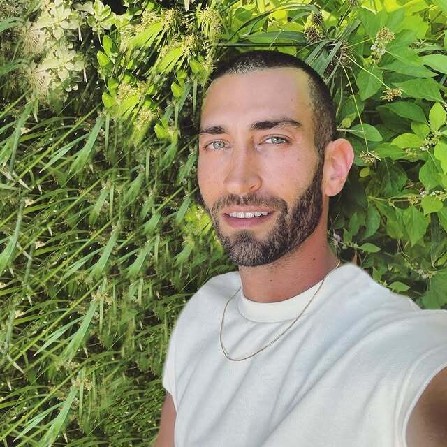  53161208  , 35 ,    -