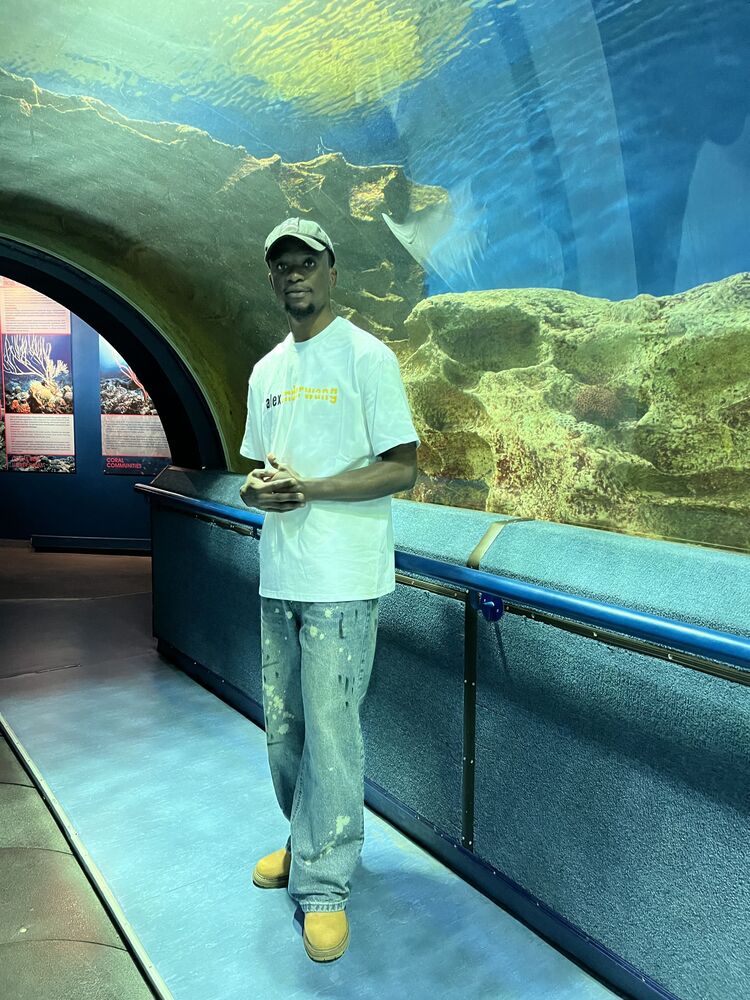 ���������� �����-���������, ���� ������� �������, 31 ���, ������������ ��� ������, ����� � ���������