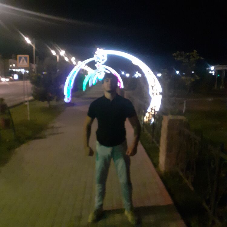  35127108  , 31 ,    