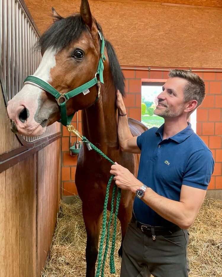 ���������� ������, ���� ������� ������, 41 ���, ������������ ��� ������, ����� � ���������, c�������� ���������, ���������