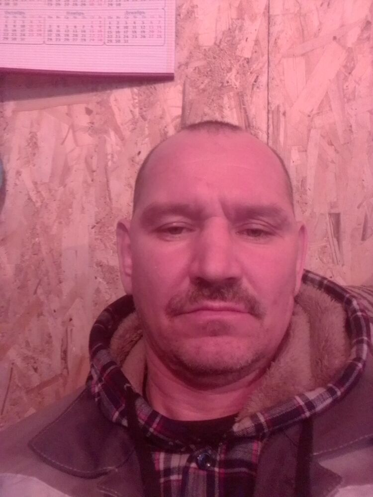 49541558  , 44 ,    