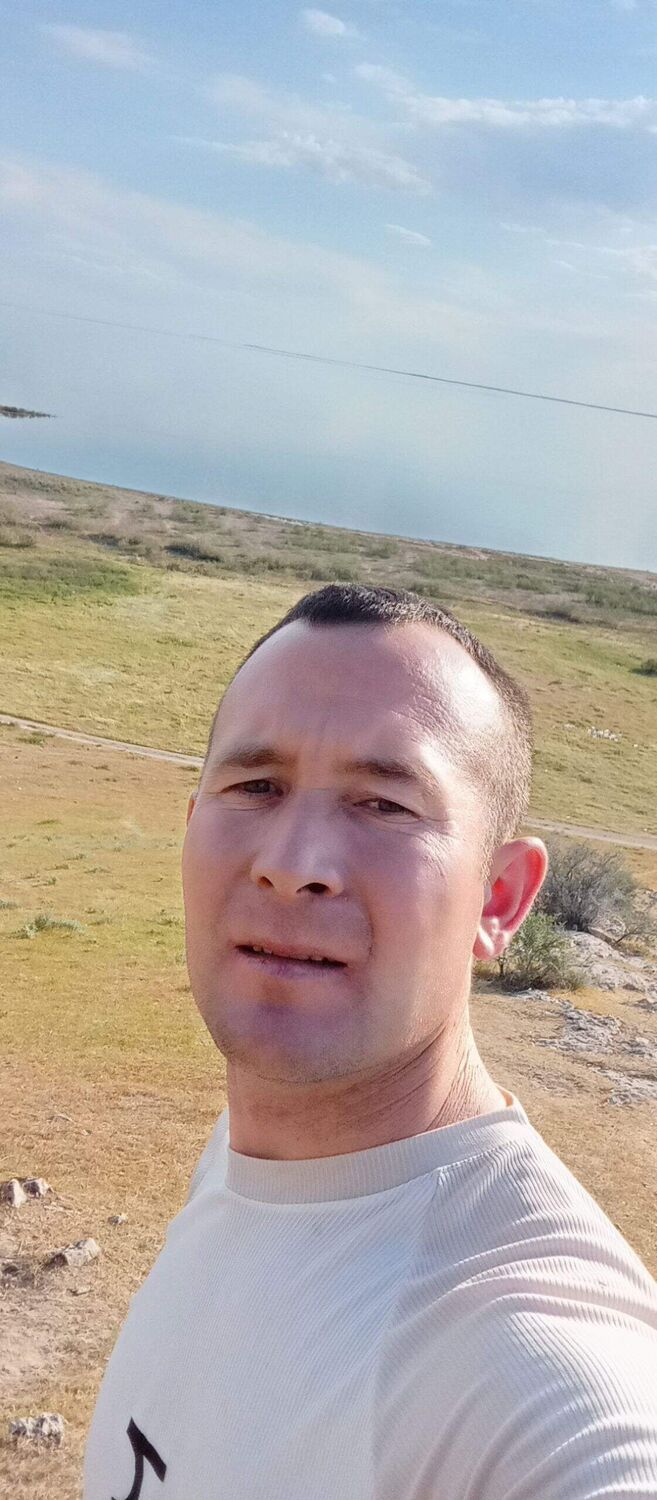  53339168   , 33 ,    