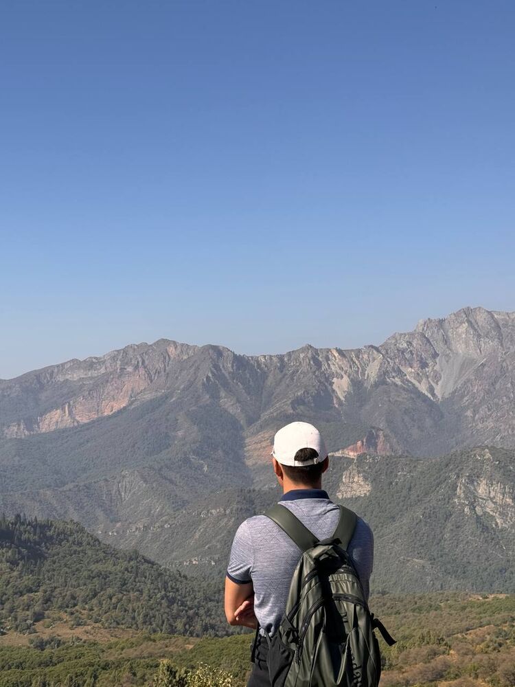 ���� 55169488 ����� �����, 24 ����, ���� ���������� � �������