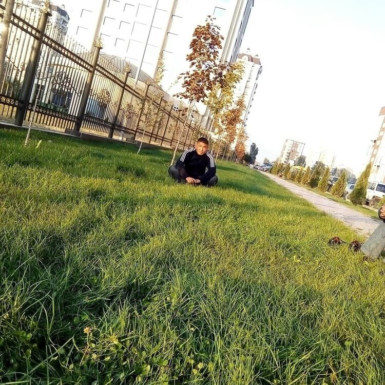 ���� 21415568 ������� ������, 33 ����, ���� ���������� � �������