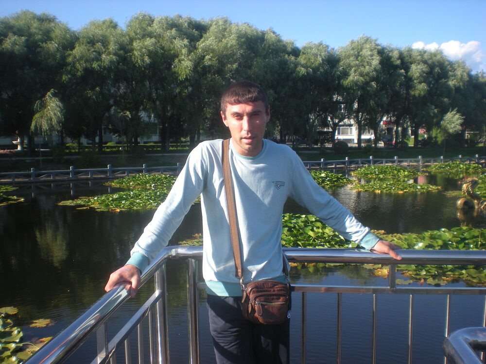  5290138  , 43 ,    --