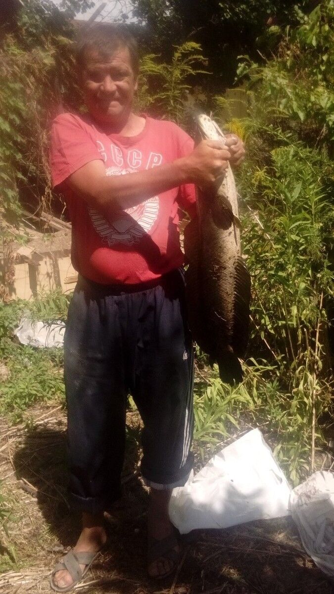 ���� 12183858 ������� ������, 44 ����, ���� ���������� � ������