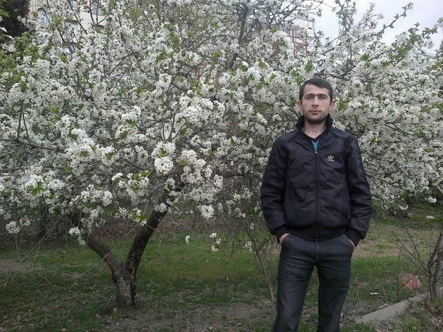  ,   Rauf652, 40 ,   