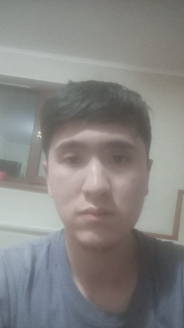  49378248  , 28 ,    