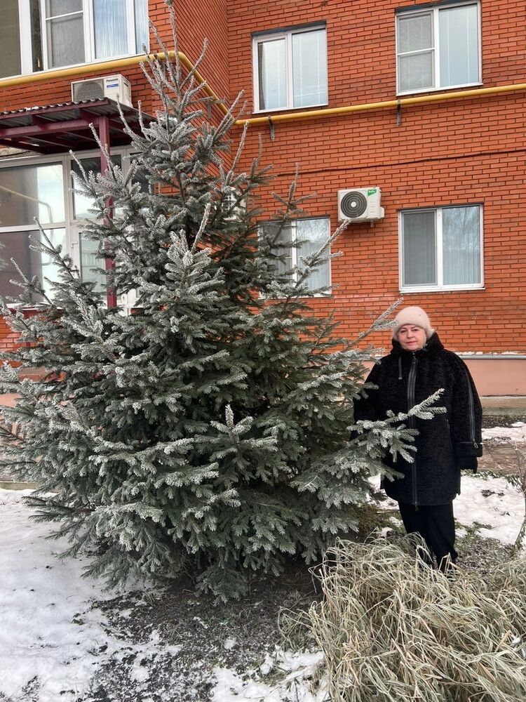 ���� 54845808 ������� �������, 74 ����, ���� ���������� � �������������