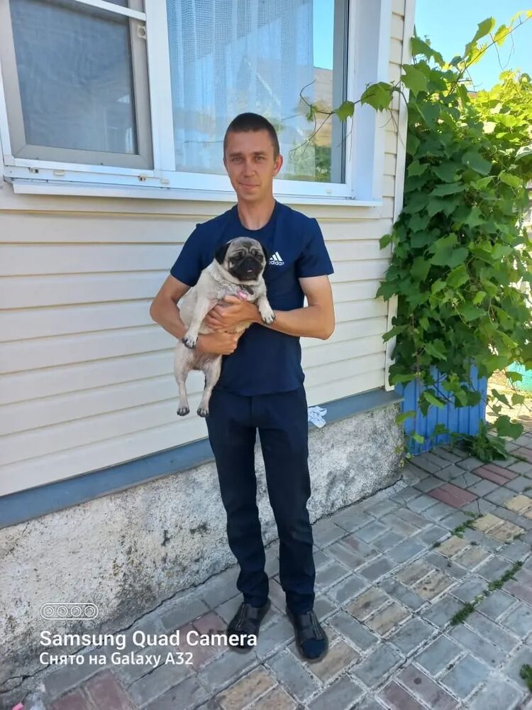 ���� 51710398 ������� �������, 31 ���, ���� ���������� � ������������