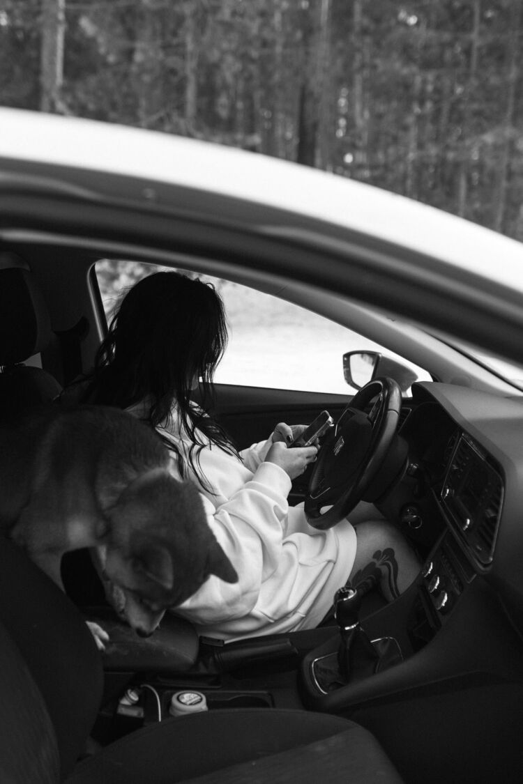 ���������� �����, ���� ������� �������, 34 ����, ������������ ��� ����� � ���������, c�������� ���������, ���������