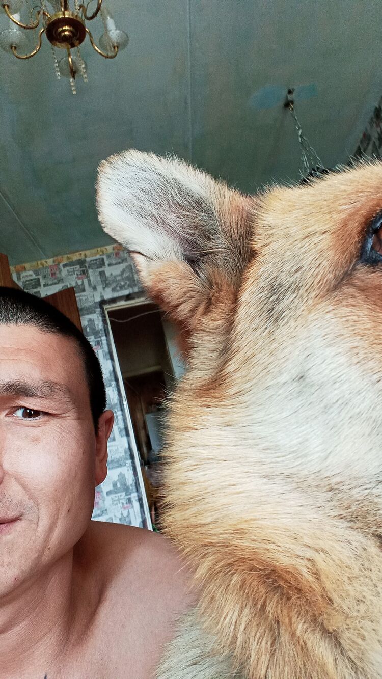  ,   , 41 ,   ,   , c , 