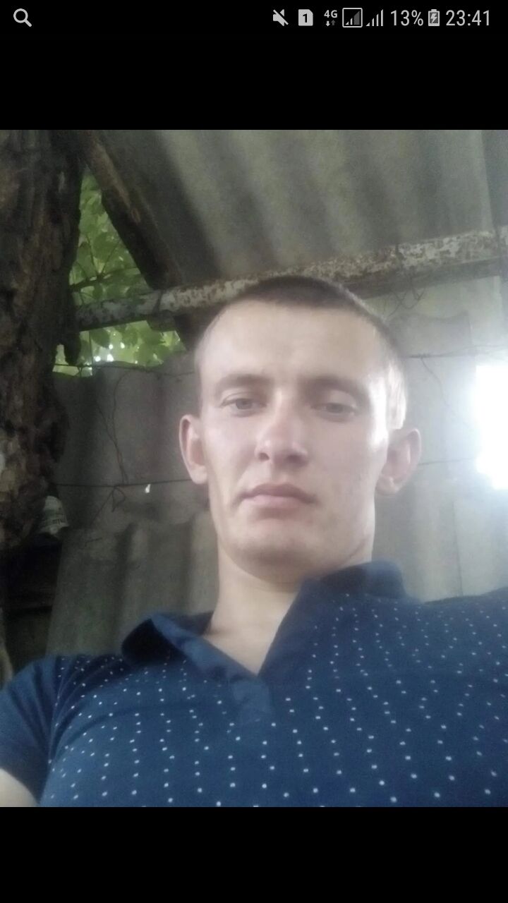  24118368  , 31 ,    
