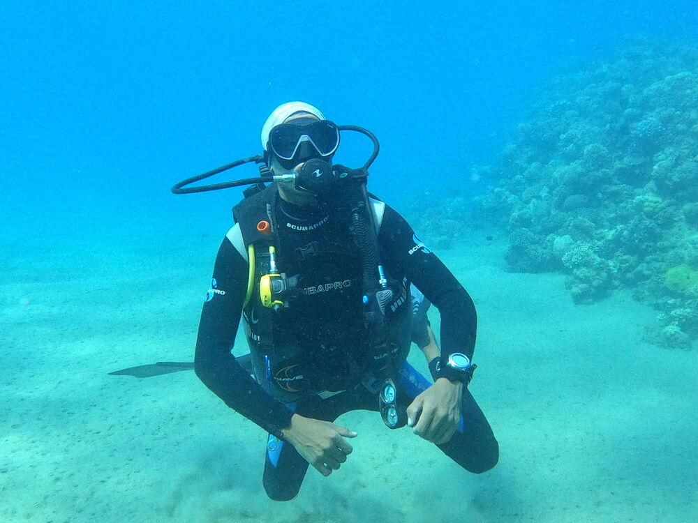 ���������� ������, ���� ������� Ahmed galal, 28 ���, ������������ ��� ������, ����� � ���������