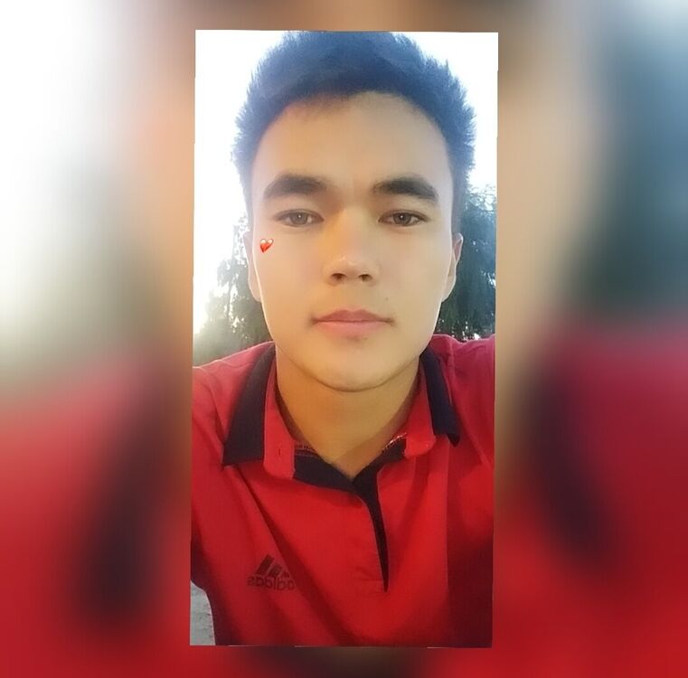  20479728  , 28 ,    