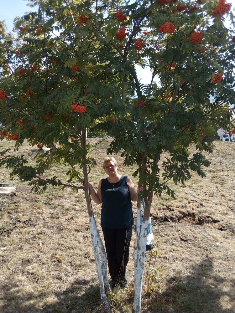  ,   , 50 ,  