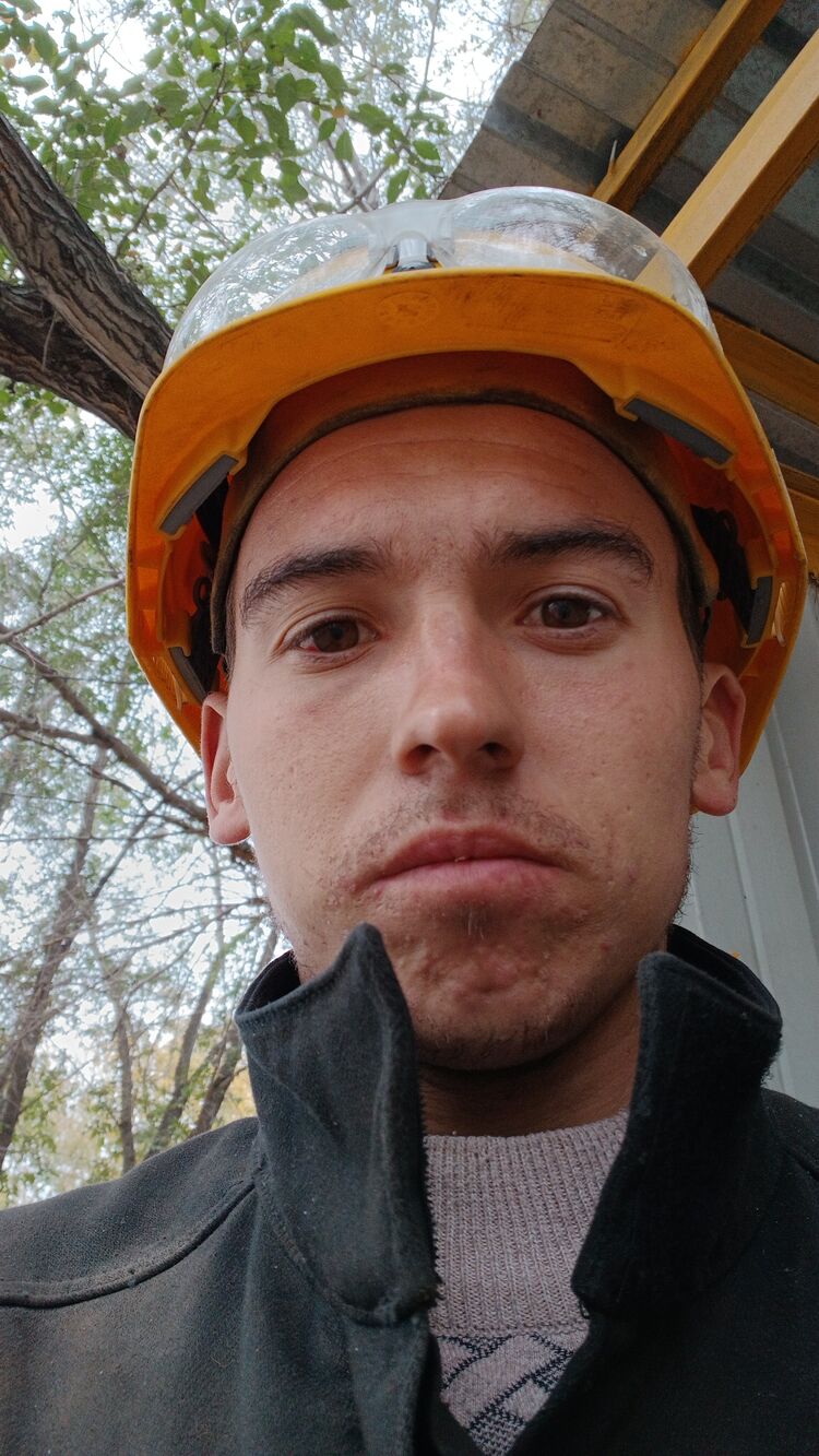 ���������� ����-�����������, ���� ������� Alexander, 31 ���, ������������ ��� ������, ����� � ���������, c�������� ���������