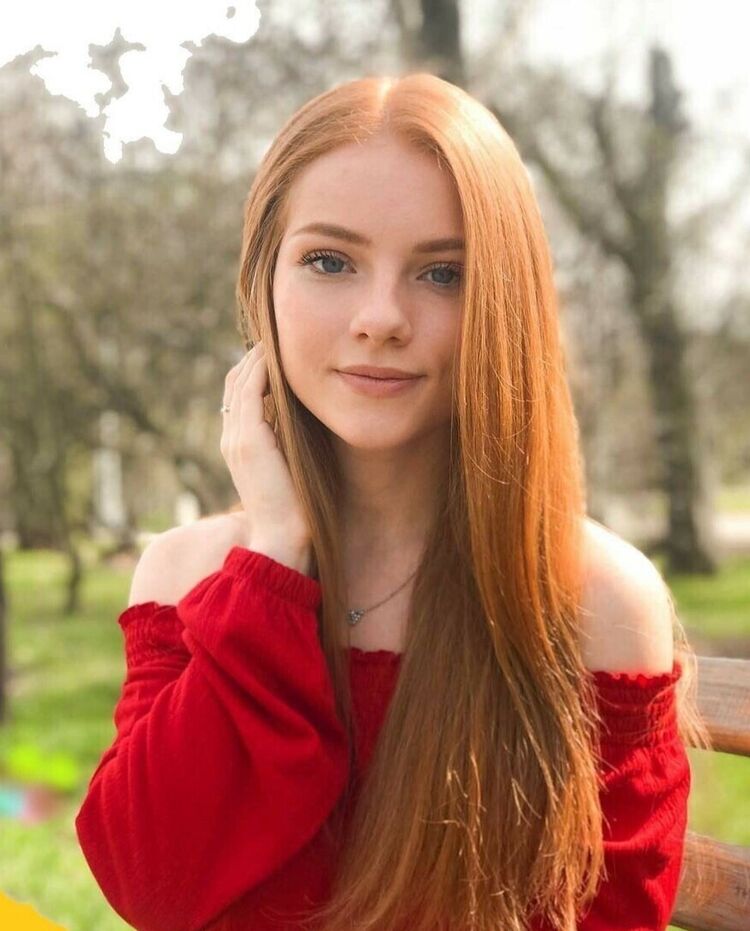 ���� 23661788 ������� �����, 23 ����, ���� ���������� � �����-����������