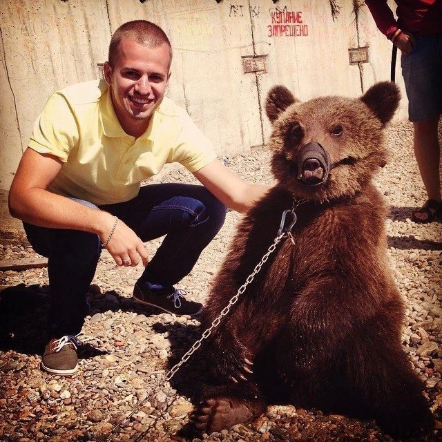 ���� 56185188 ������� ������, 32 ����, ���� ���������� � ��������