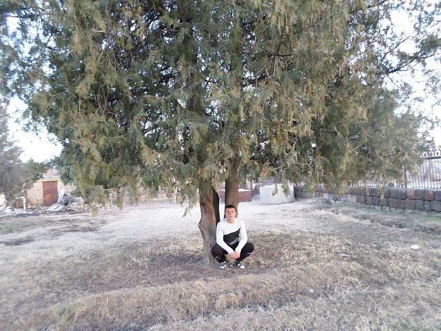 ,   Davit, 32 ,   