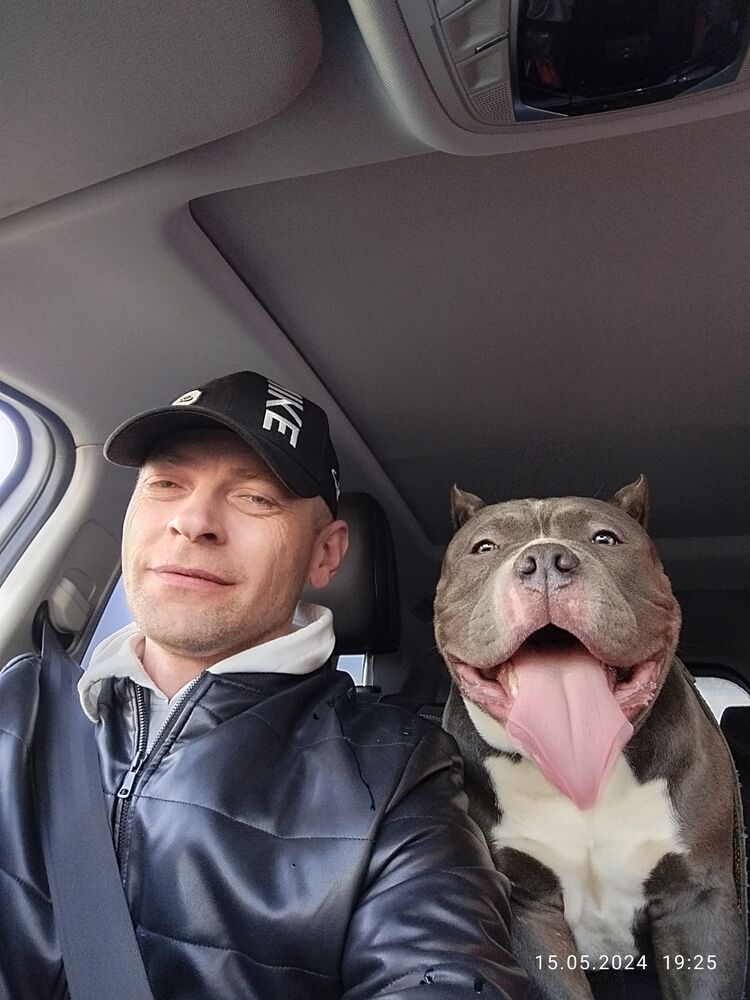  ,   , 43 ,   ,   , 