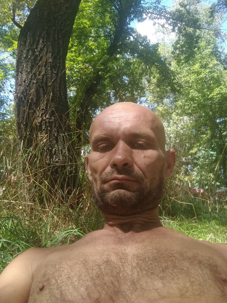  36592588  , 43 ,    