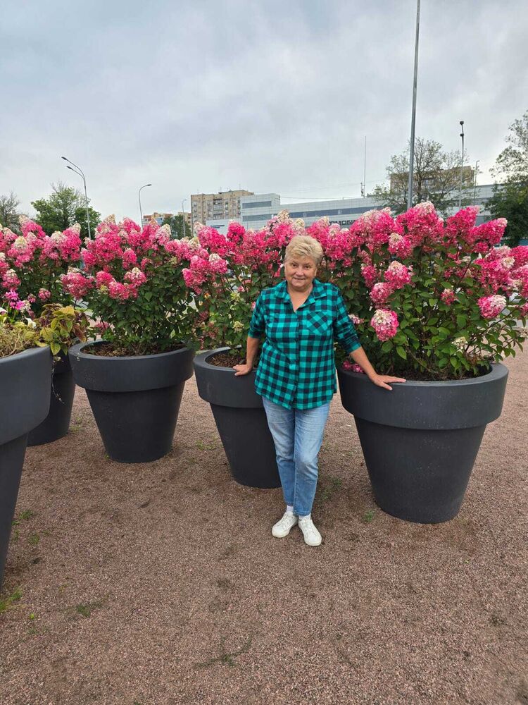 ���������� �����-���������, ���� ������� ����, 62 ����, ������������ ��� c�������� ���������