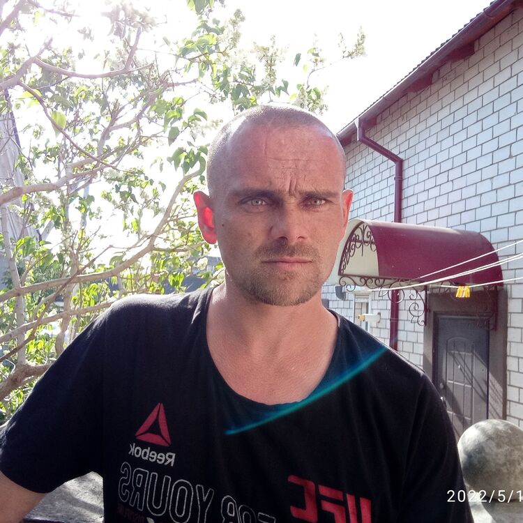 ���� 26642648 ������� ����, 42 ����, ���� ���������� � ������